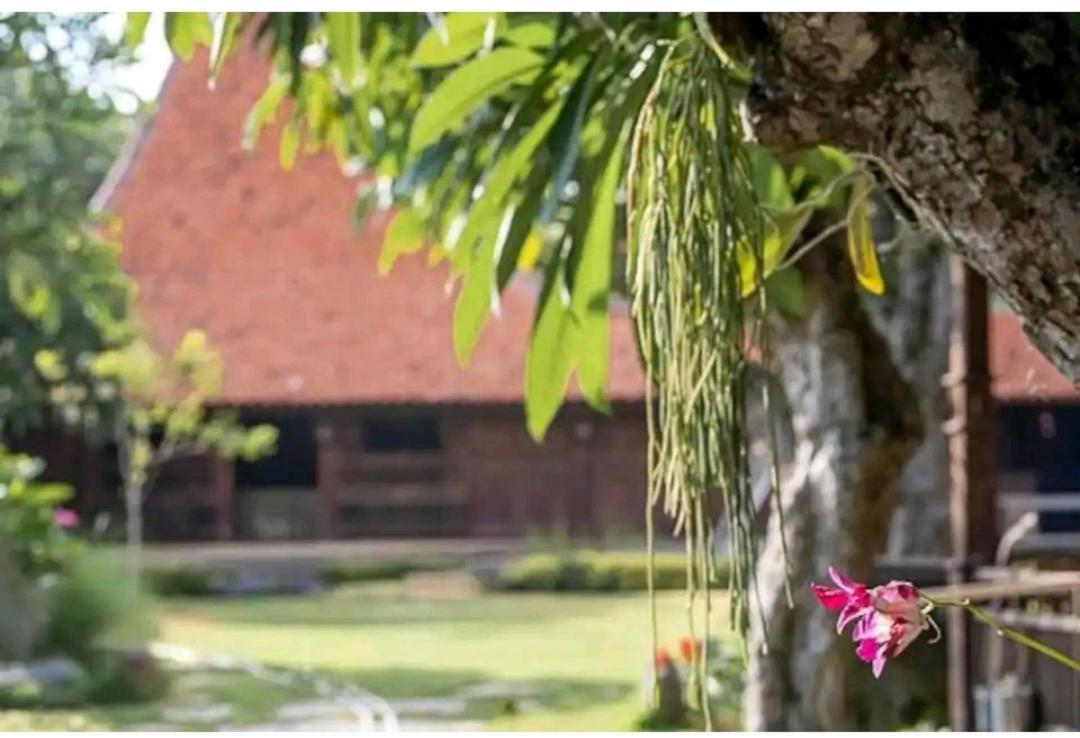 Hotel Damai Canggu Exterior foto